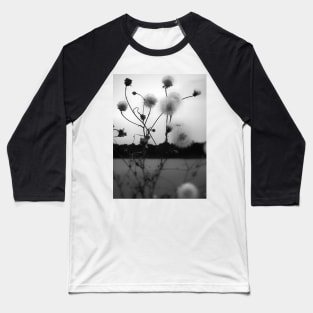 White dandelions pappus in black and white photography Baseball T-Shirt